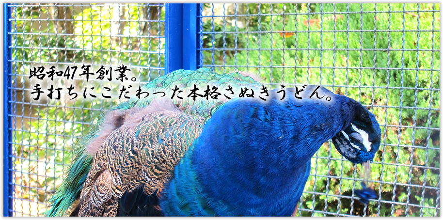 ���a47�N�n�ƁB��ł��ɂ���������{�i���ʂ����ǂ�B